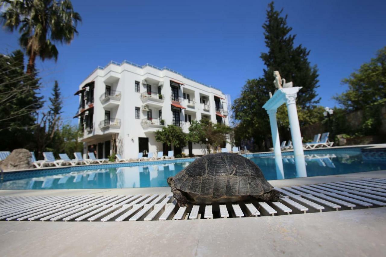 Green Valley Hotel Кемер Экстерьер фото